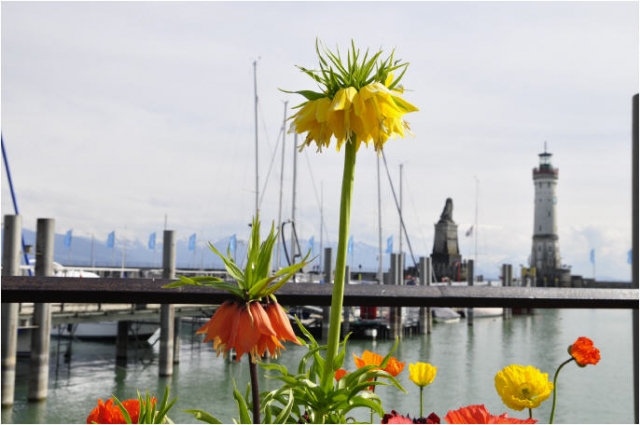 Ausflugsziele Lindau und Umgebung